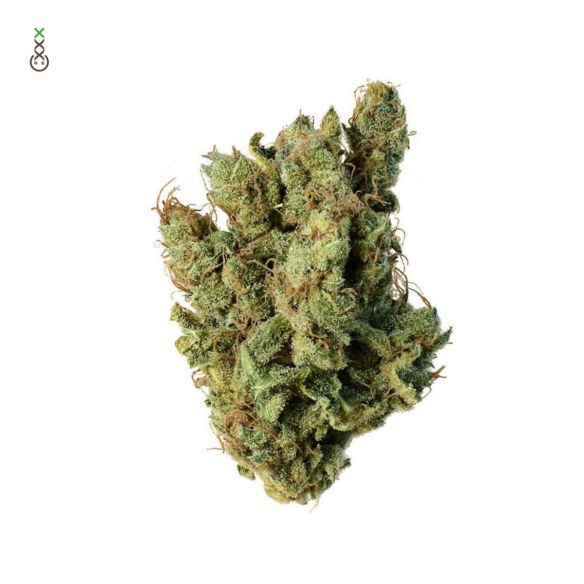 Silver Haze