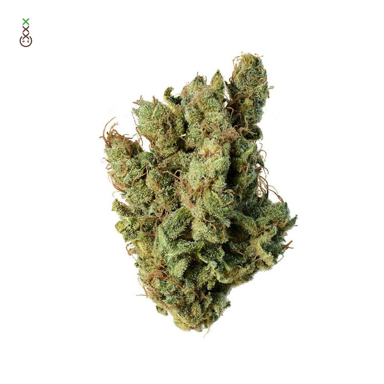 Silver Haze